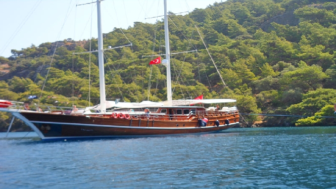 S Nur Taylan